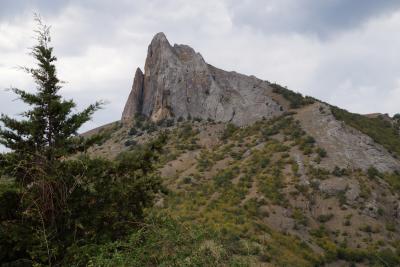 Прикрепленное изображение: A58DSC04438.jpg